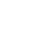Share Icon